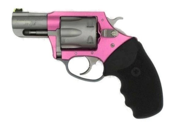 CHARTER ARMS THE PINK LADY II .38 SPL. LARGE ALUMINUM 6 SHOT 2.2IN FIXED LITEPIPE STANDARD PINK STAINLESS STEEL 53630 - Taurus Savings